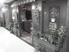 �I�[�K�j�b�N�X�[�v�@�R�����{