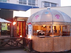 �D�y�s�C�X�C�X�[�v�J���[