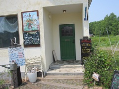 ���f�B�h��