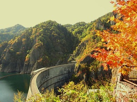 �D�y�s���