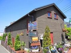 esola(�G�\��)